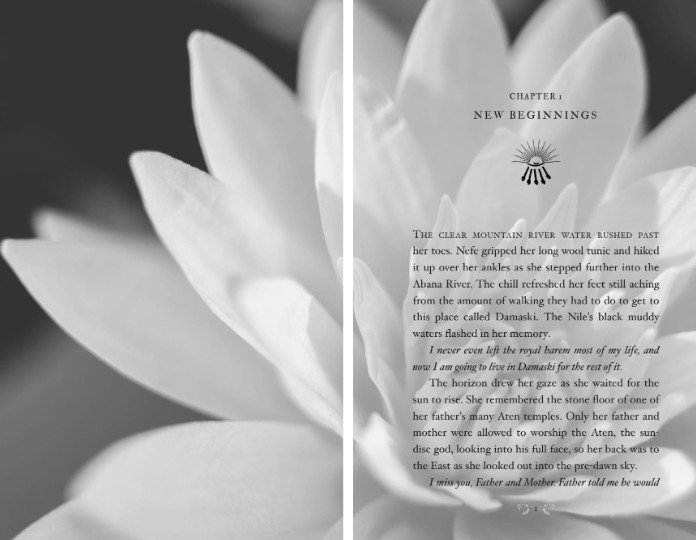 FREE Novella Bonus Ending: A New Dawn